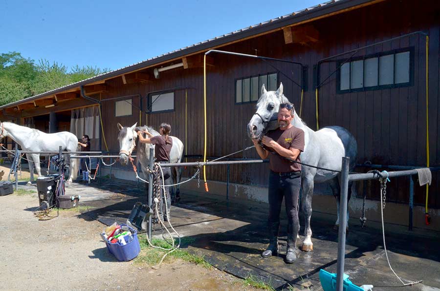 relazione-col-cavallo